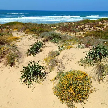 Appartement Cozy Flat Just Steps From The