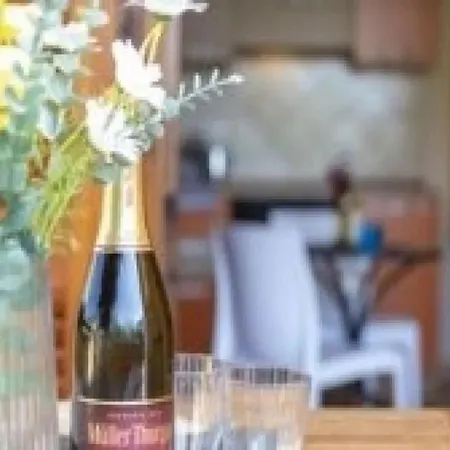 Cozy Flat Just Steps From The * 瓦雷多利亚